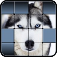 Скачать Hidden Pics 1.00 APK для Android