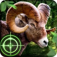 Télécharger Wild Hunter 3D (Mod, beaucoup d’argent) 1.0.6 APK pour Android