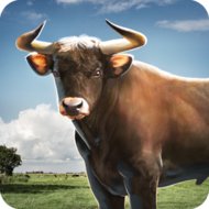 Download Bull Simulator 3D 1.2 APK for android