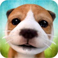 Unduh Simulator Anjing (Mod, Uang Tidak Terbatas) 2.2.3 APK untuk Android